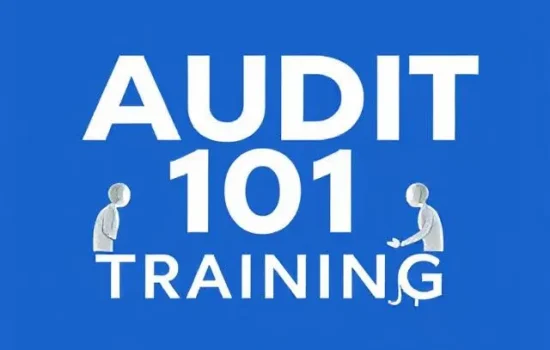 AUDIT 101 TRAINING